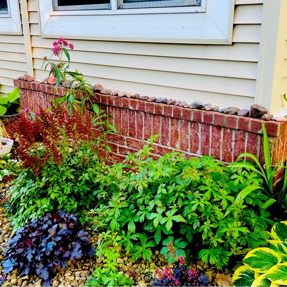 Red Rocks-Great 4 Plants,Fish,Turtles 2.5-3Lbs Various Sizes,Small/Medium 2-3.5” - Picture 9 of 9